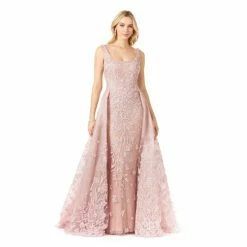 Lara Overskirt Lace Fitted Gown Dresses Dusty Pink